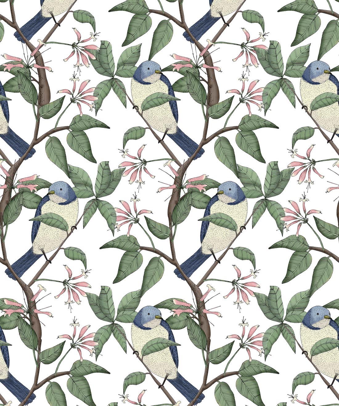 Bird Background