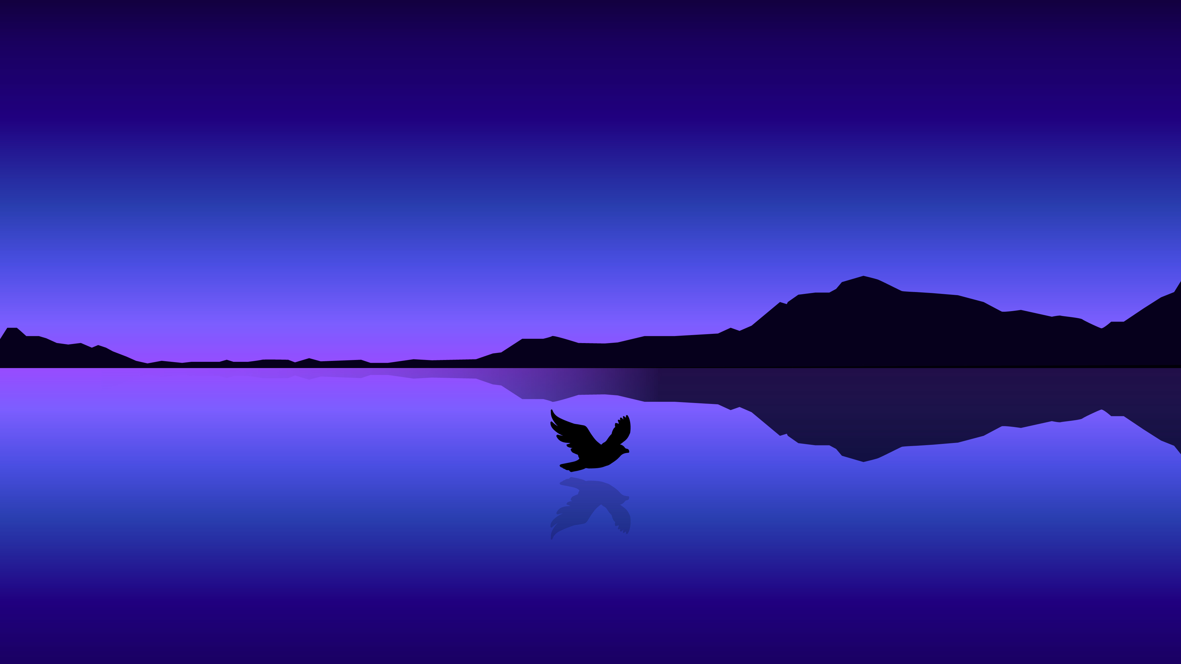 Bird Flying Near Sea Wallpapers