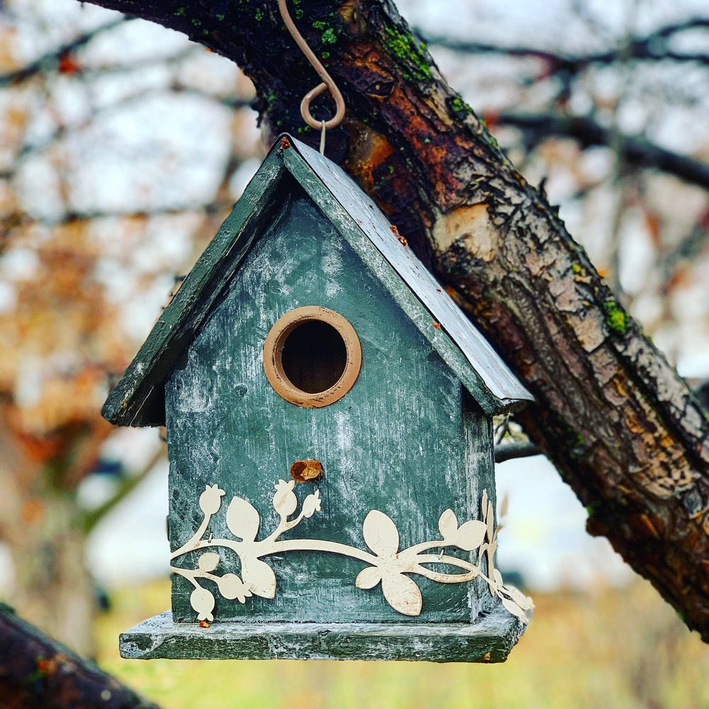 Bird House Wallpapers