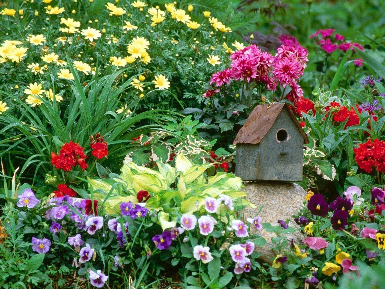 Bird House Wallpapers