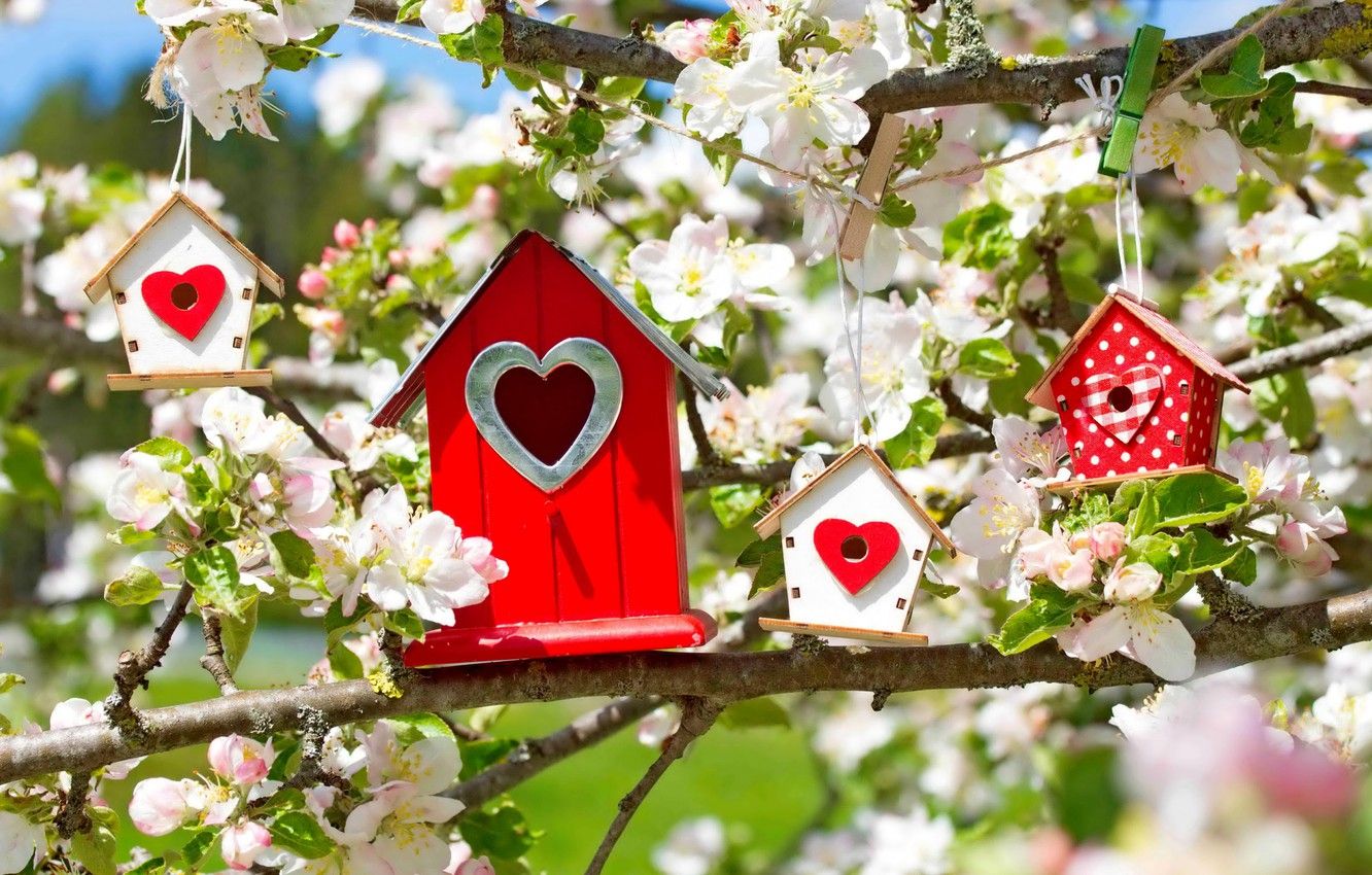 Bird House Wallpapers