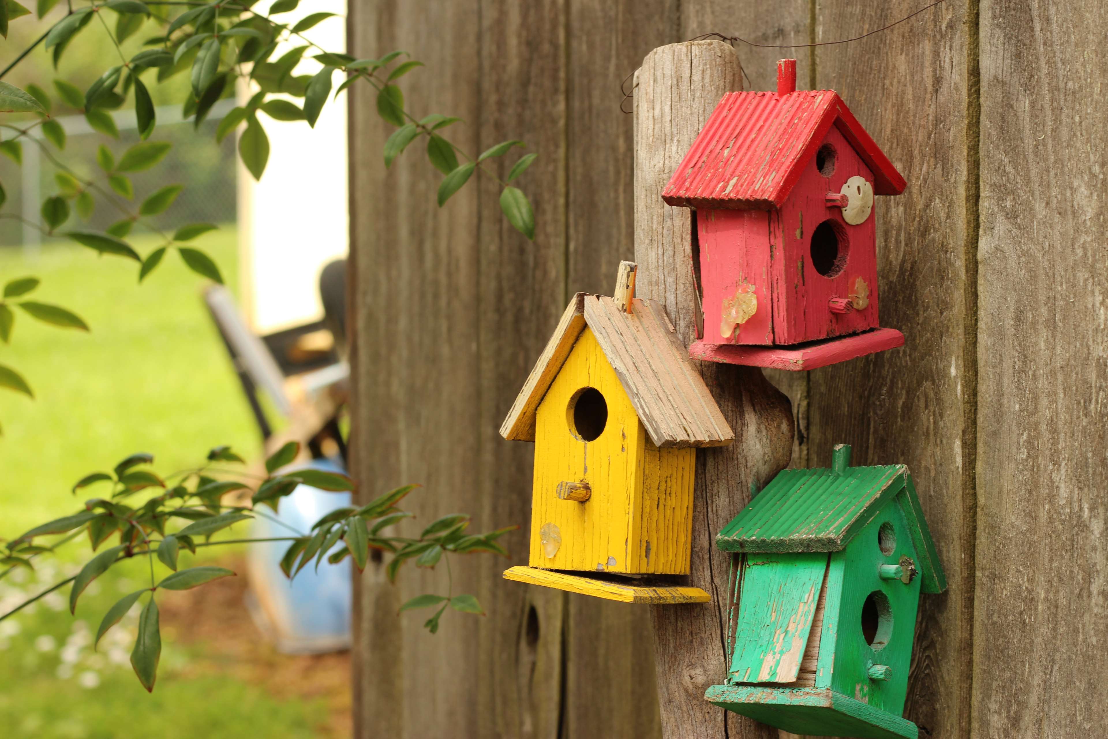 Bird House Wallpapers