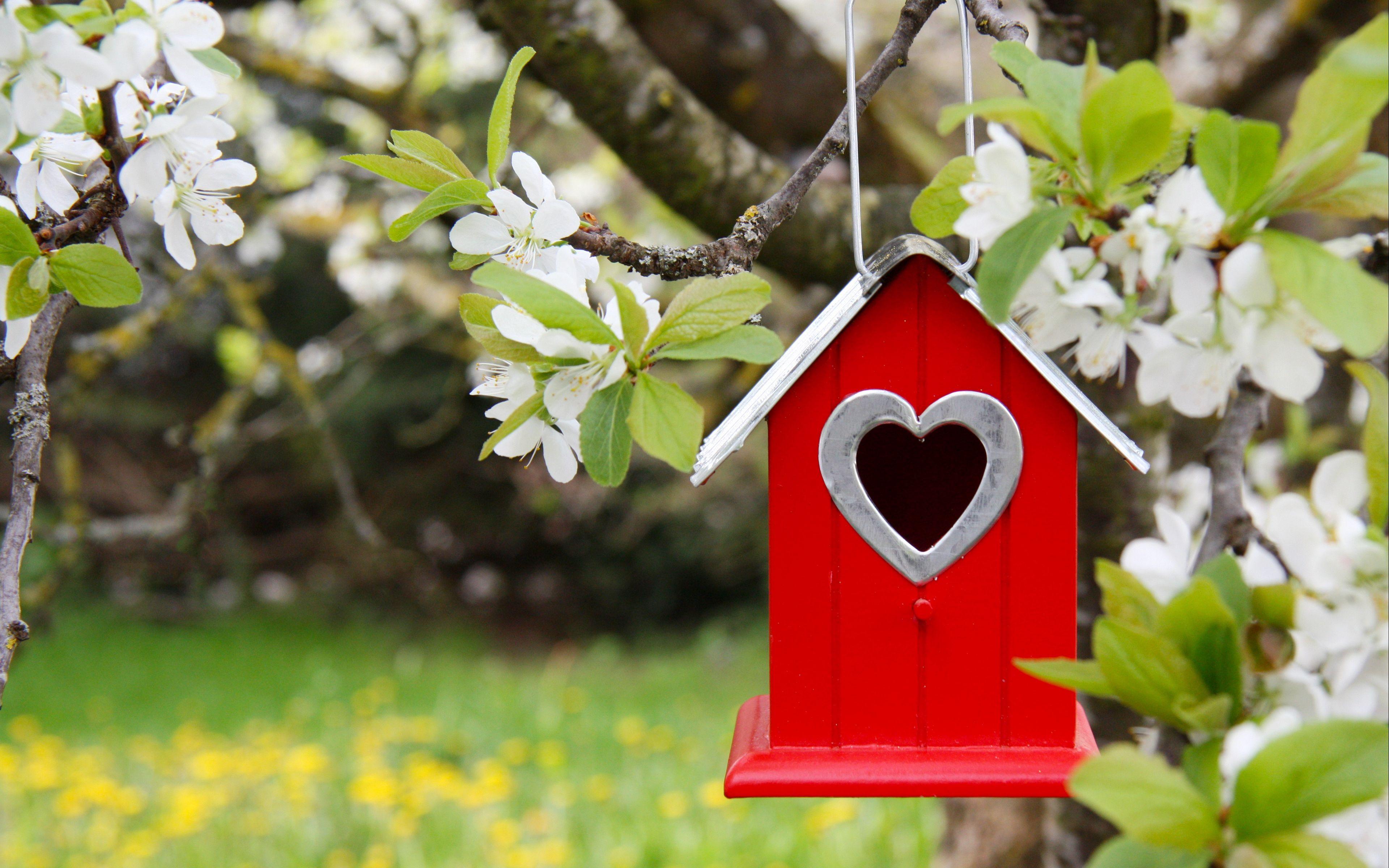 Bird House Wallpapers