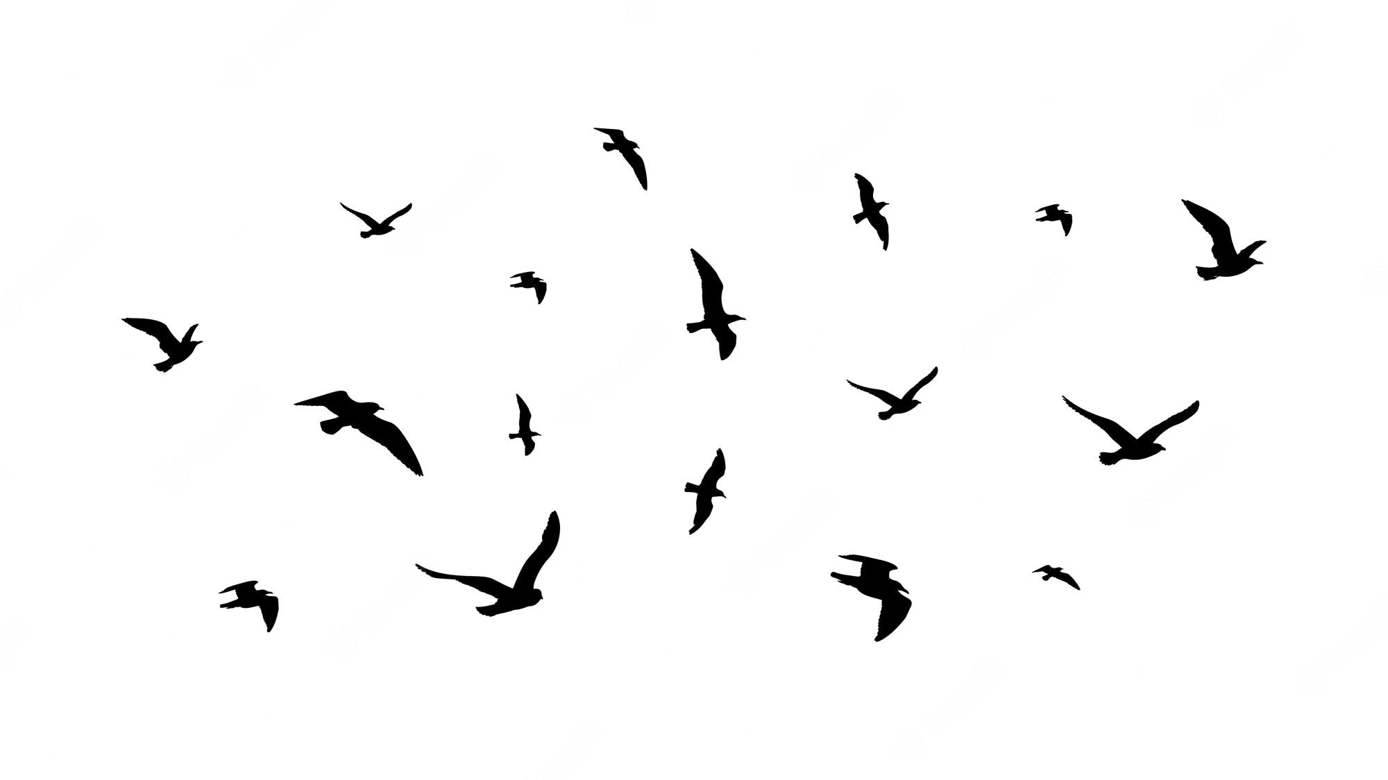 Bird Silhouette Wallpapers