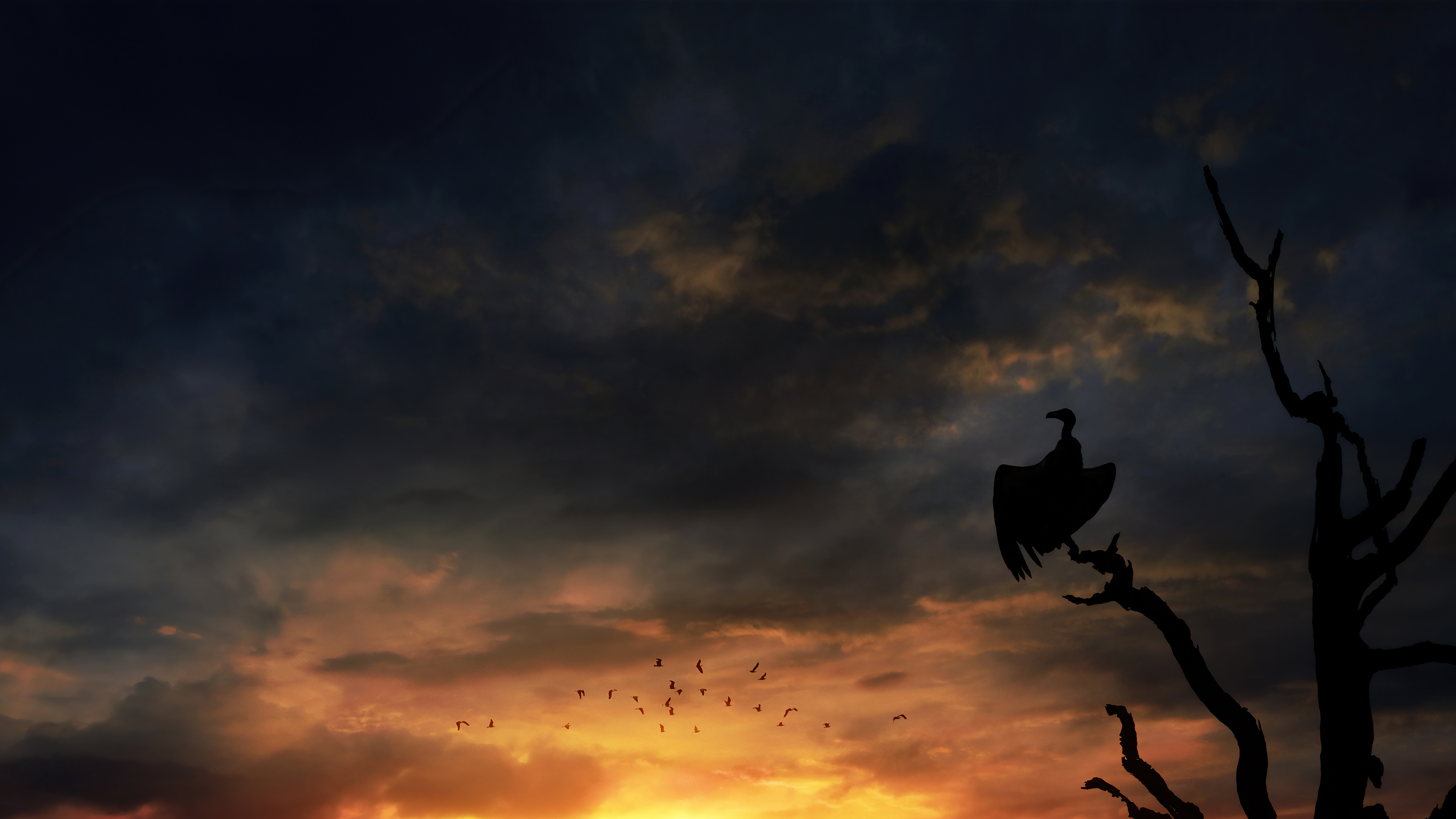 Bird Silhouette Wallpapers