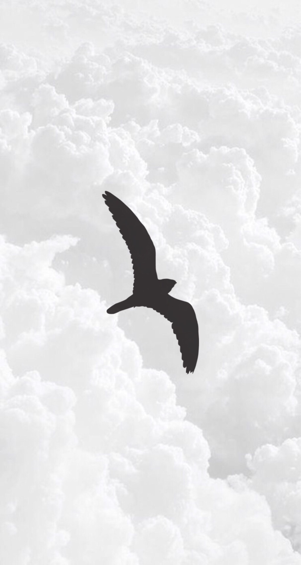 Birds Aesthetic Wallpapers