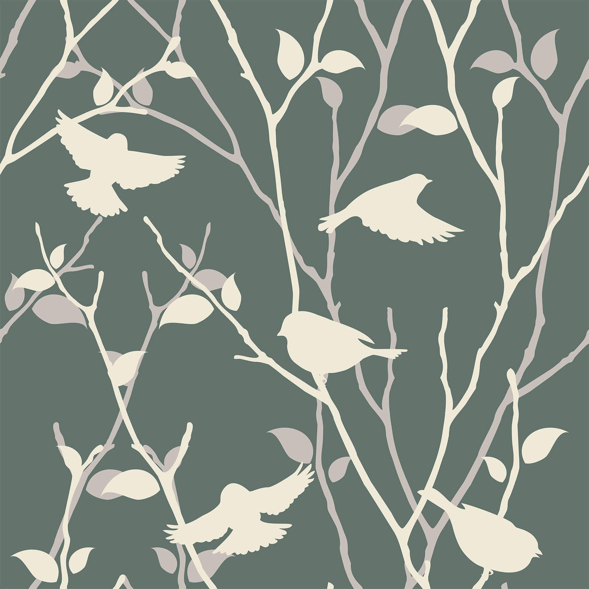 Birds Aesthetic Wallpapers