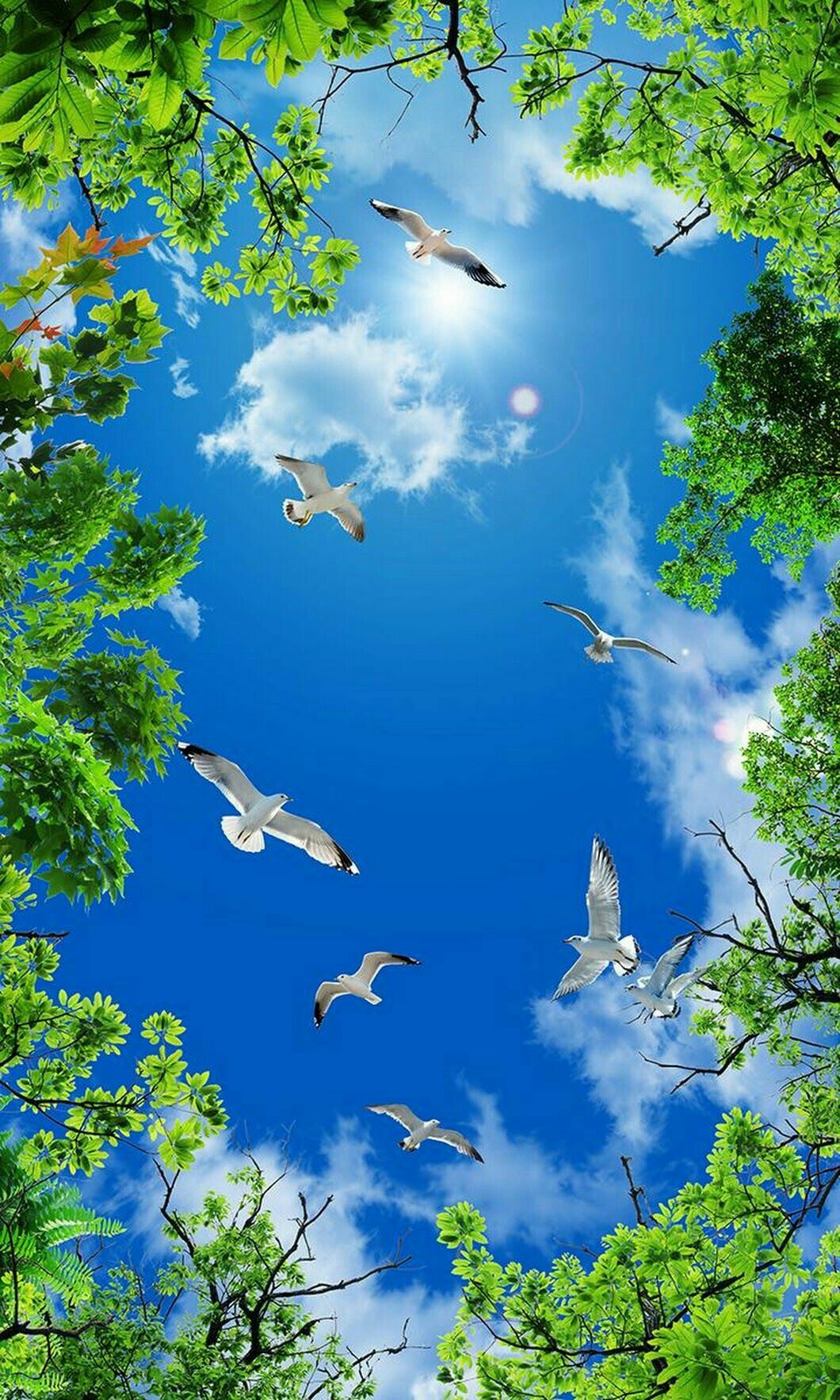 Birds Nature Wallpapers