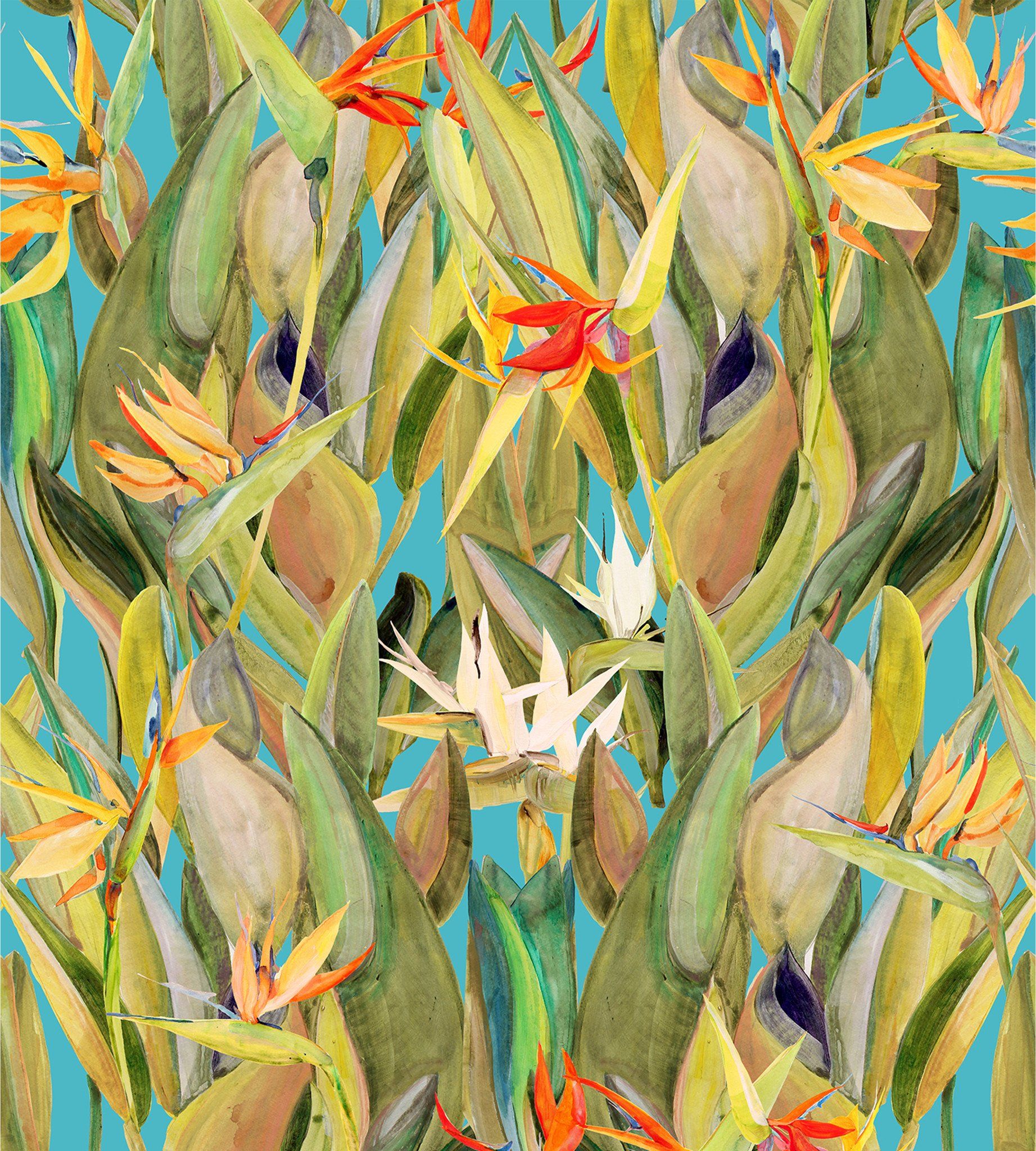 Birds Of Paradise Background