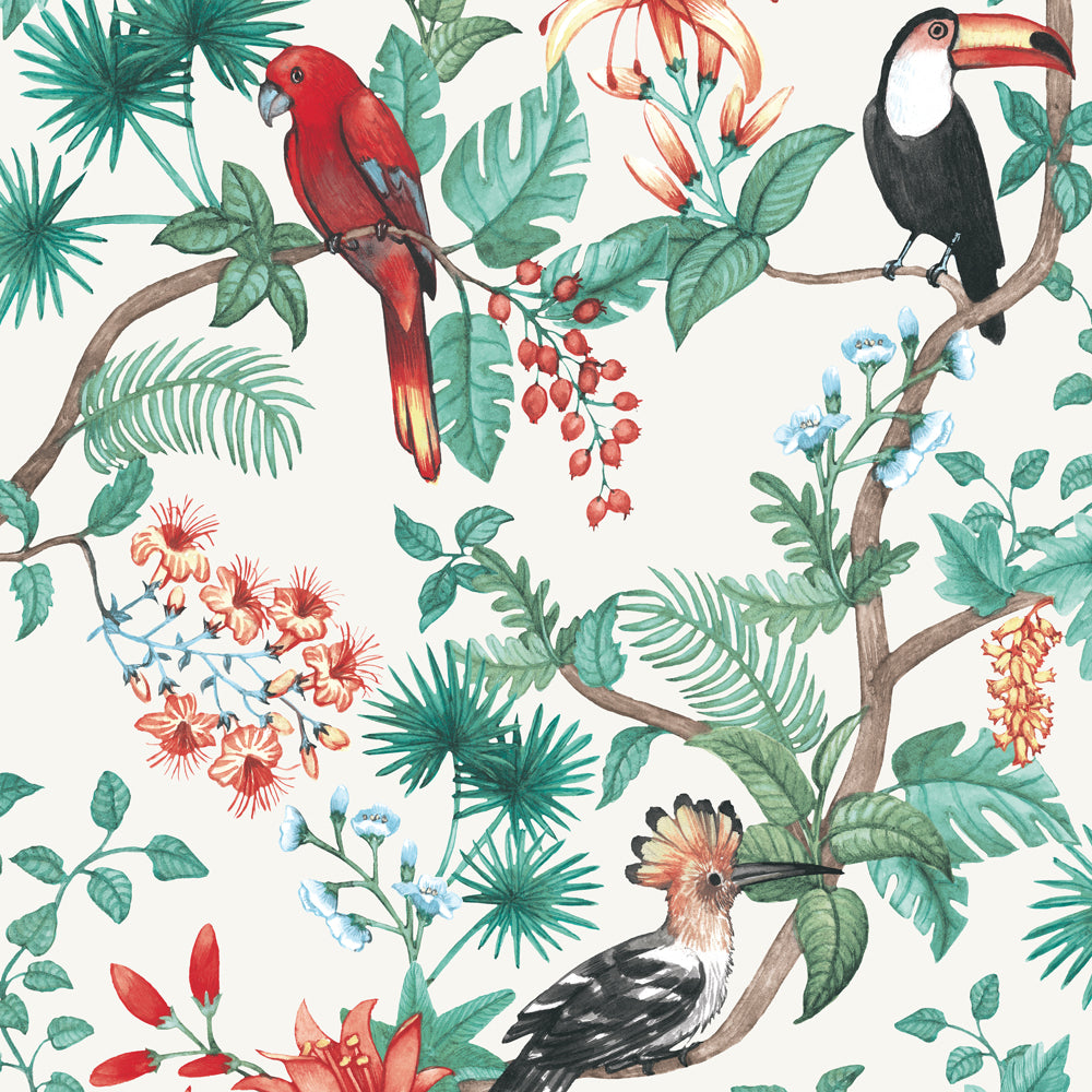 Birds Of Paradise Background