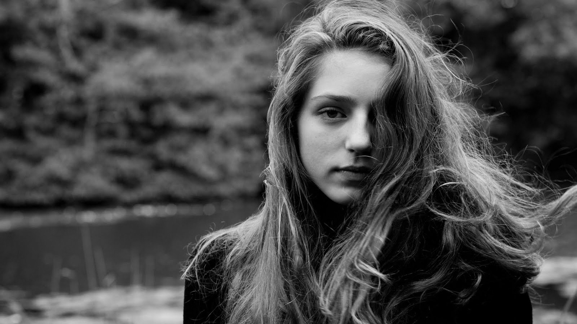 Birdy Wallpapers