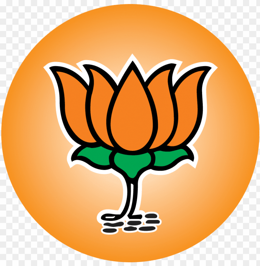 Bjp Background