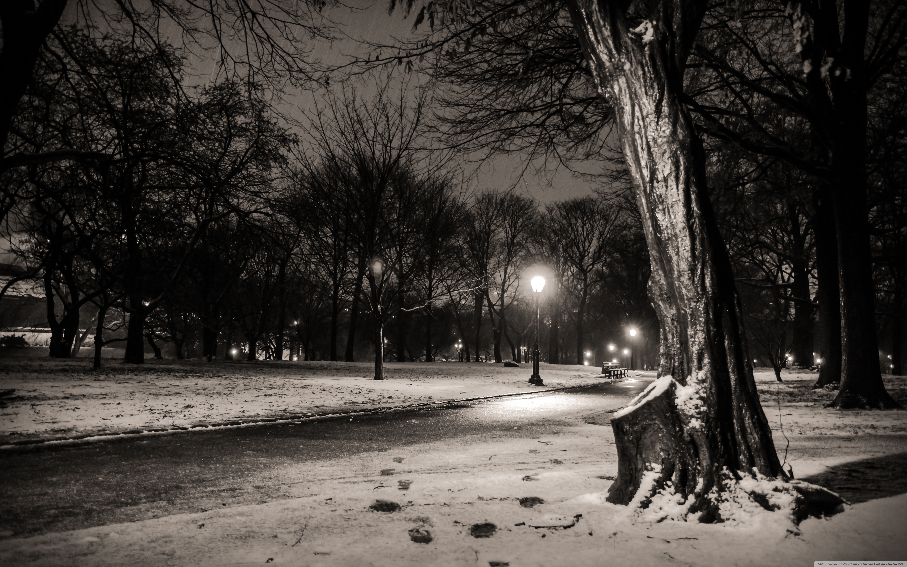 Black &Amp; White Snow Winter Night Wallpapers