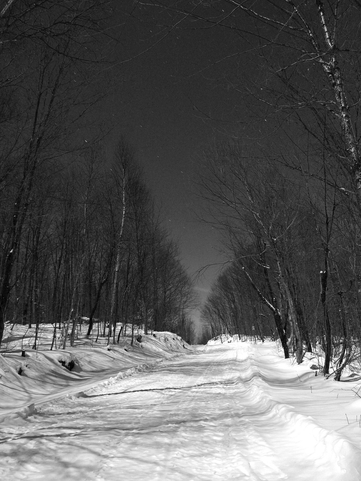 Black &Amp; White Snow Winter Night Wallpapers