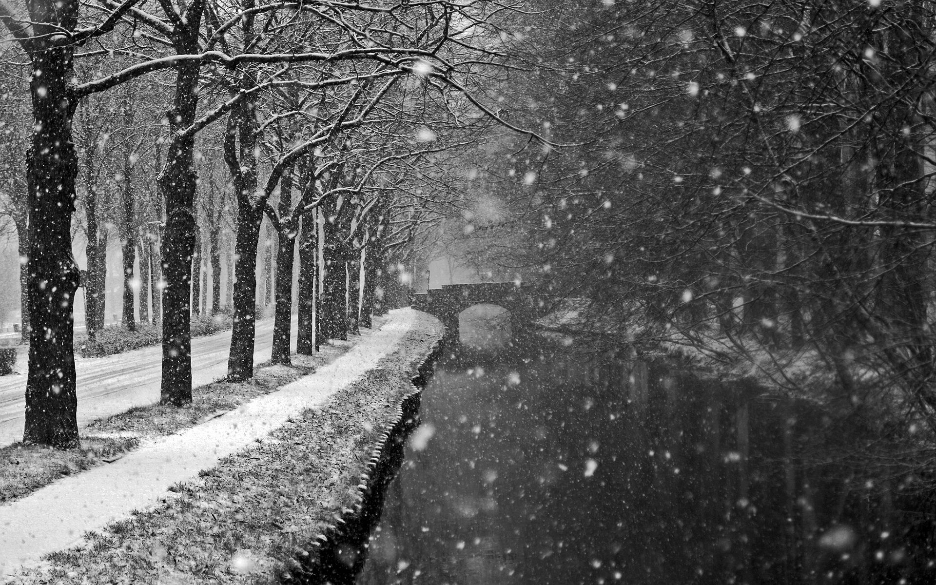 Black &Amp; White Snow Winter Night Wallpapers