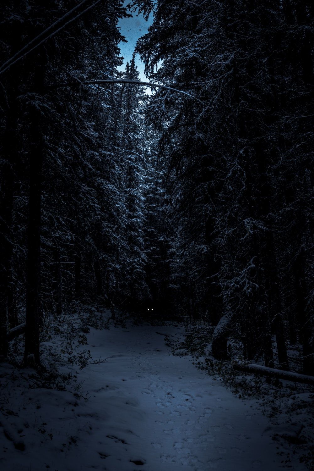 Black &Amp; White Snow Winter Night Wallpapers