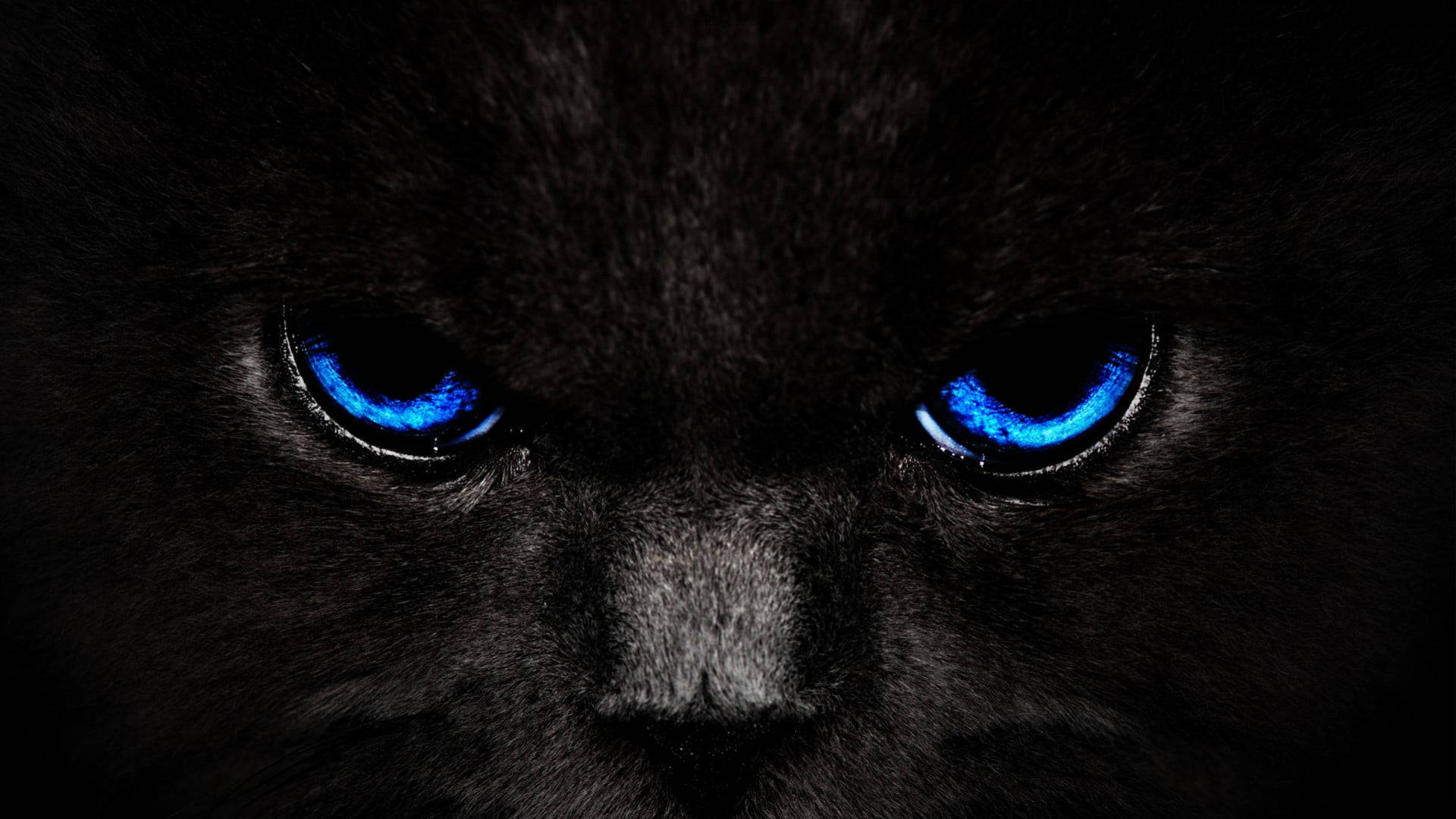 Black And Blue Desktop Background