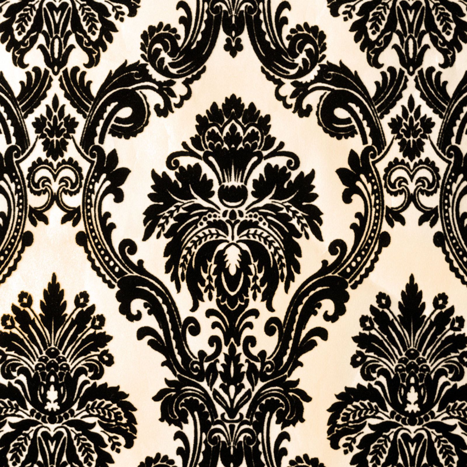 Black And Cream Damask Wallpapers