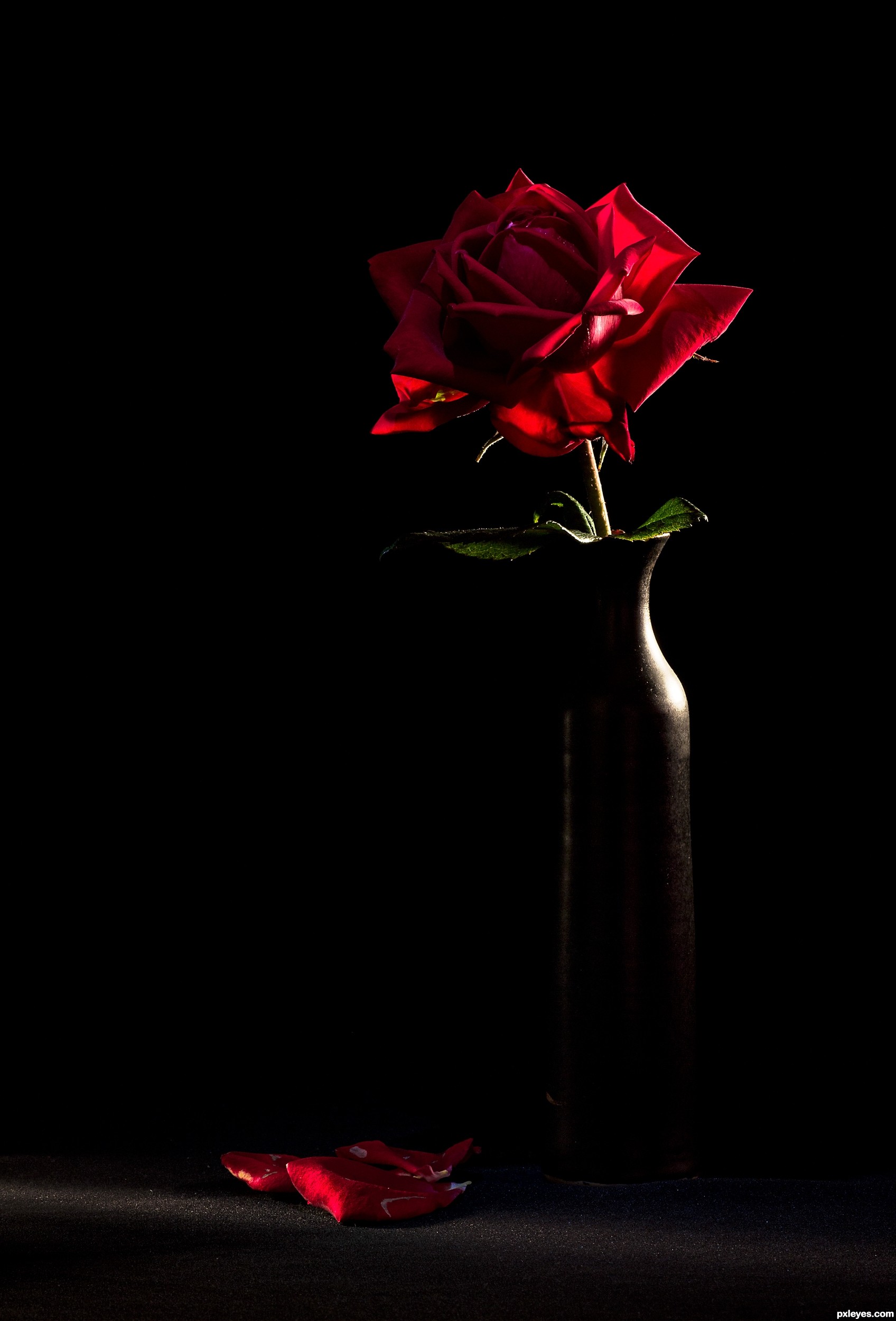 Black And Red Rose Wallpapers