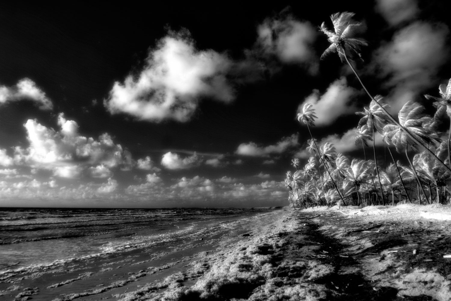 Black And White Beach Wallpapers