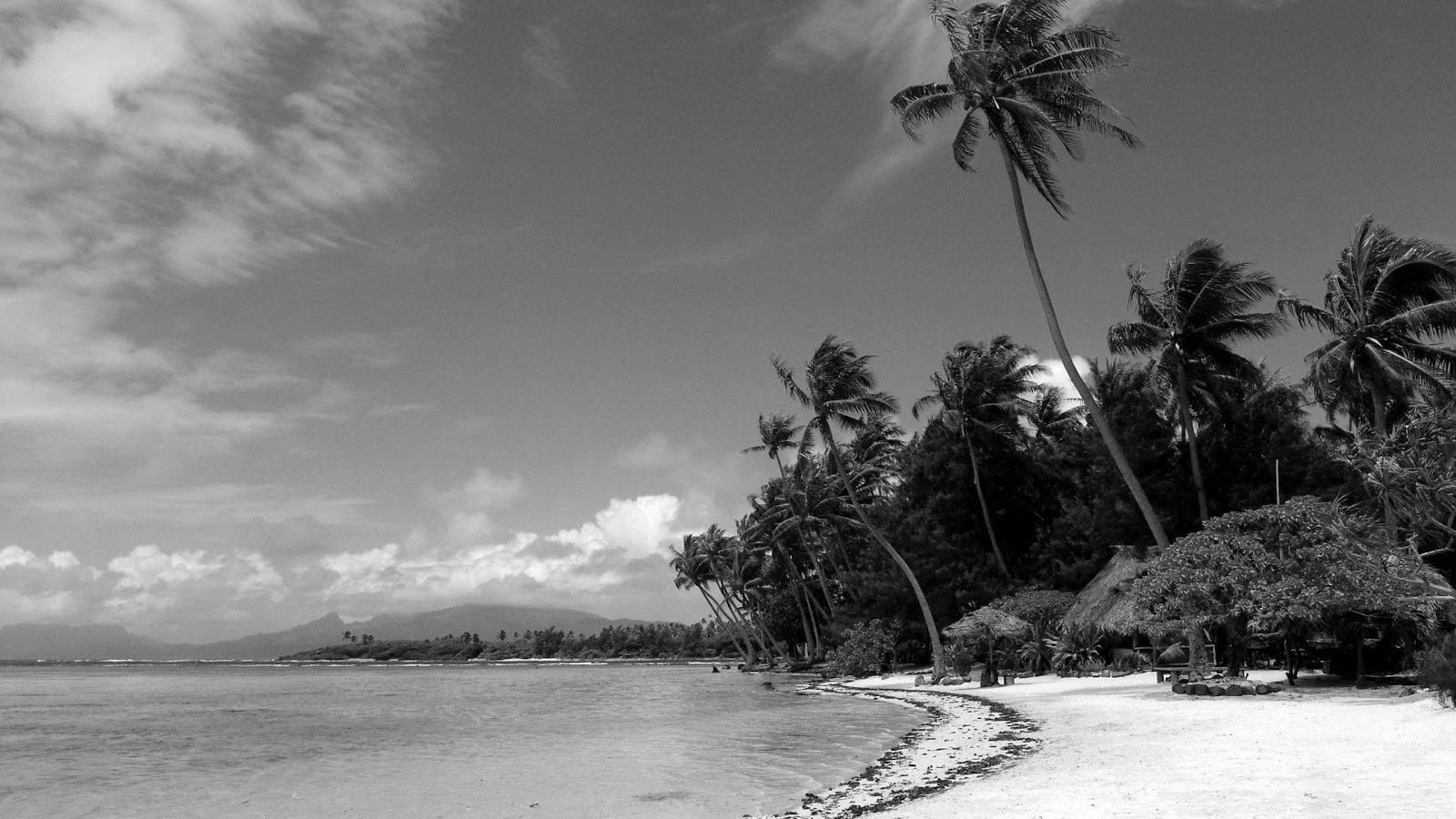 Black And White Beach Wallpapers