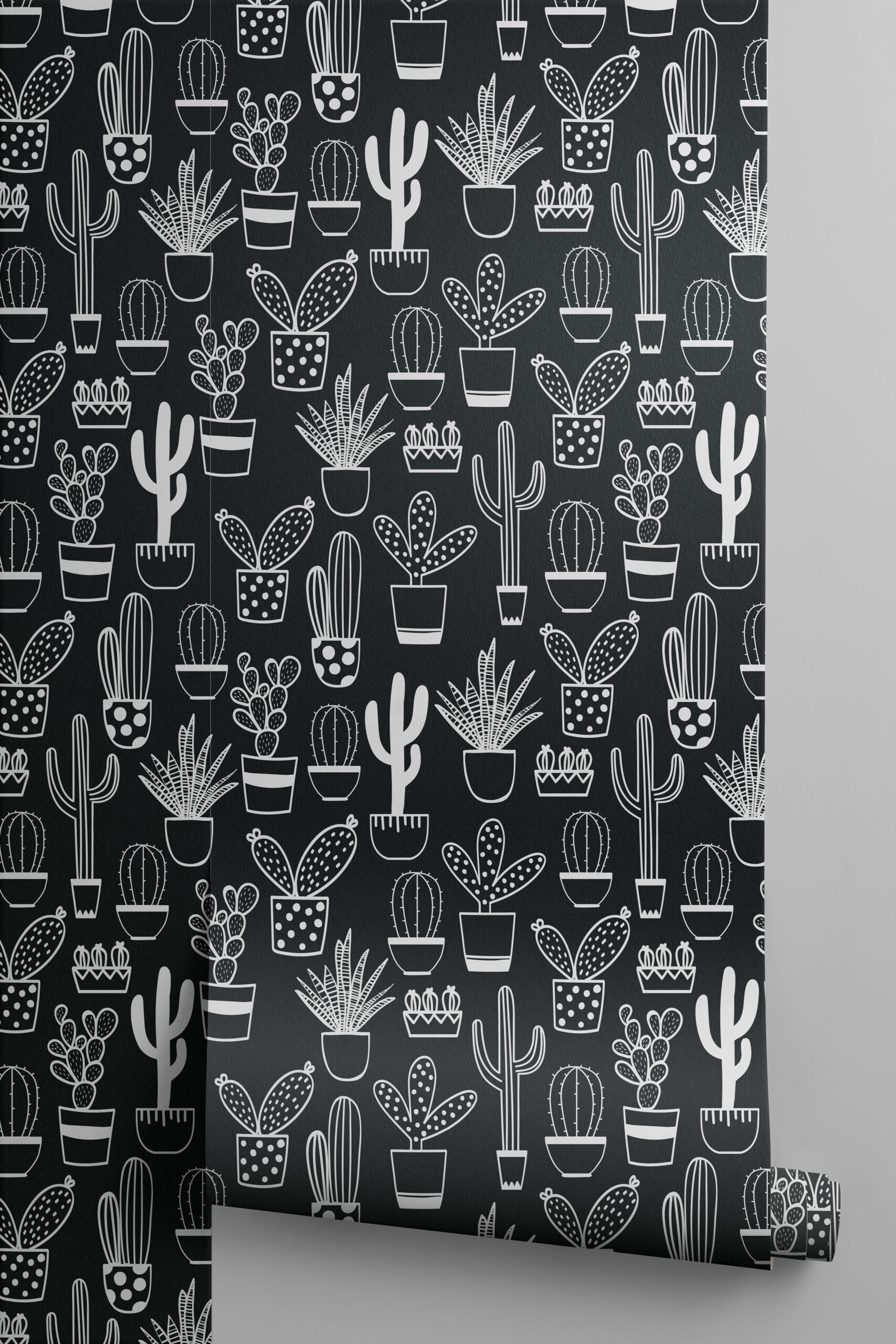 Black And White Cactus Wallpapers