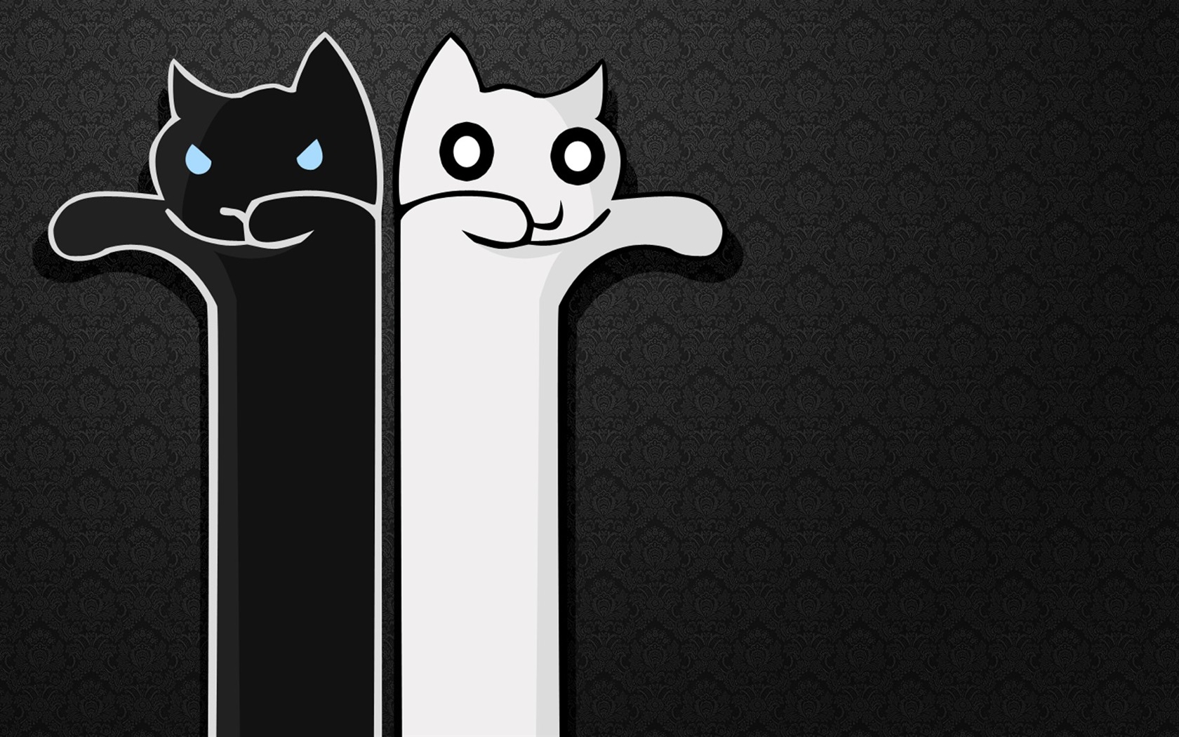 Black And White Cat Art Wallpapers