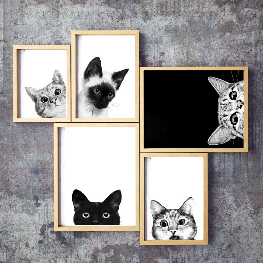 Black And White Cat Art Wallpapers