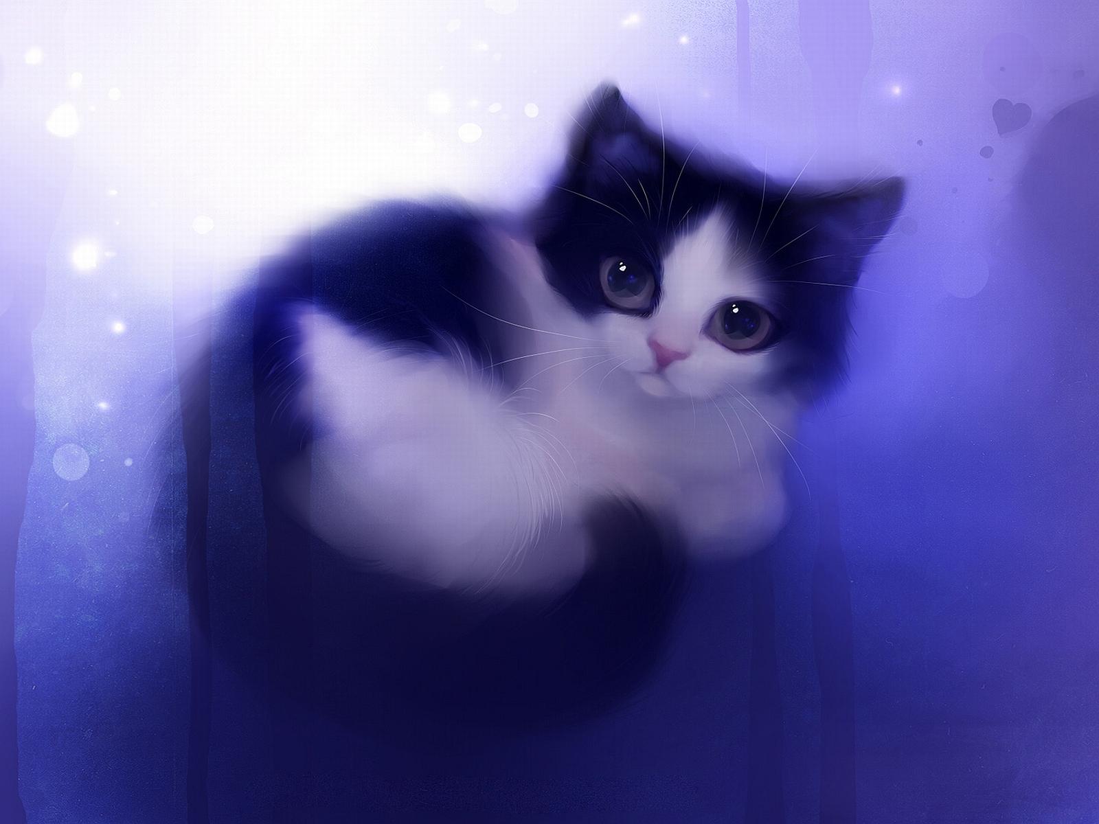 Black And White Cat Wallpapers