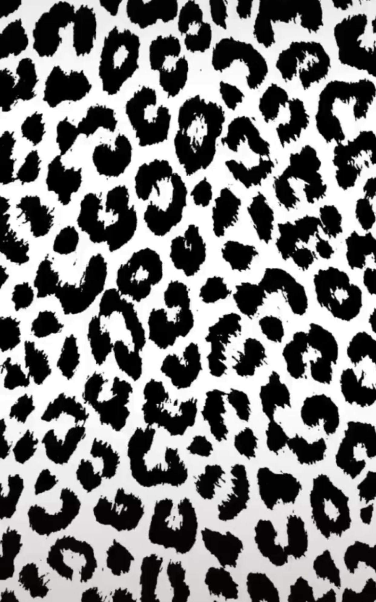 Black And White Cheetah Wallpapers