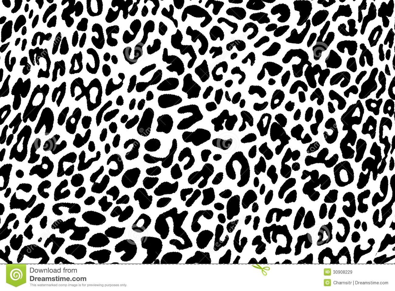 Black And White Cheetah Wallpapers