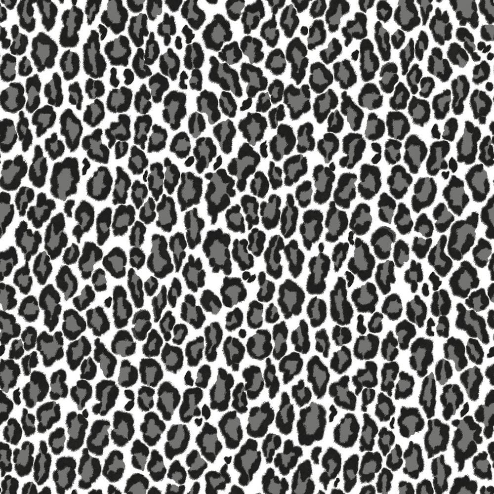 Black And White Cheetah Wallpapers