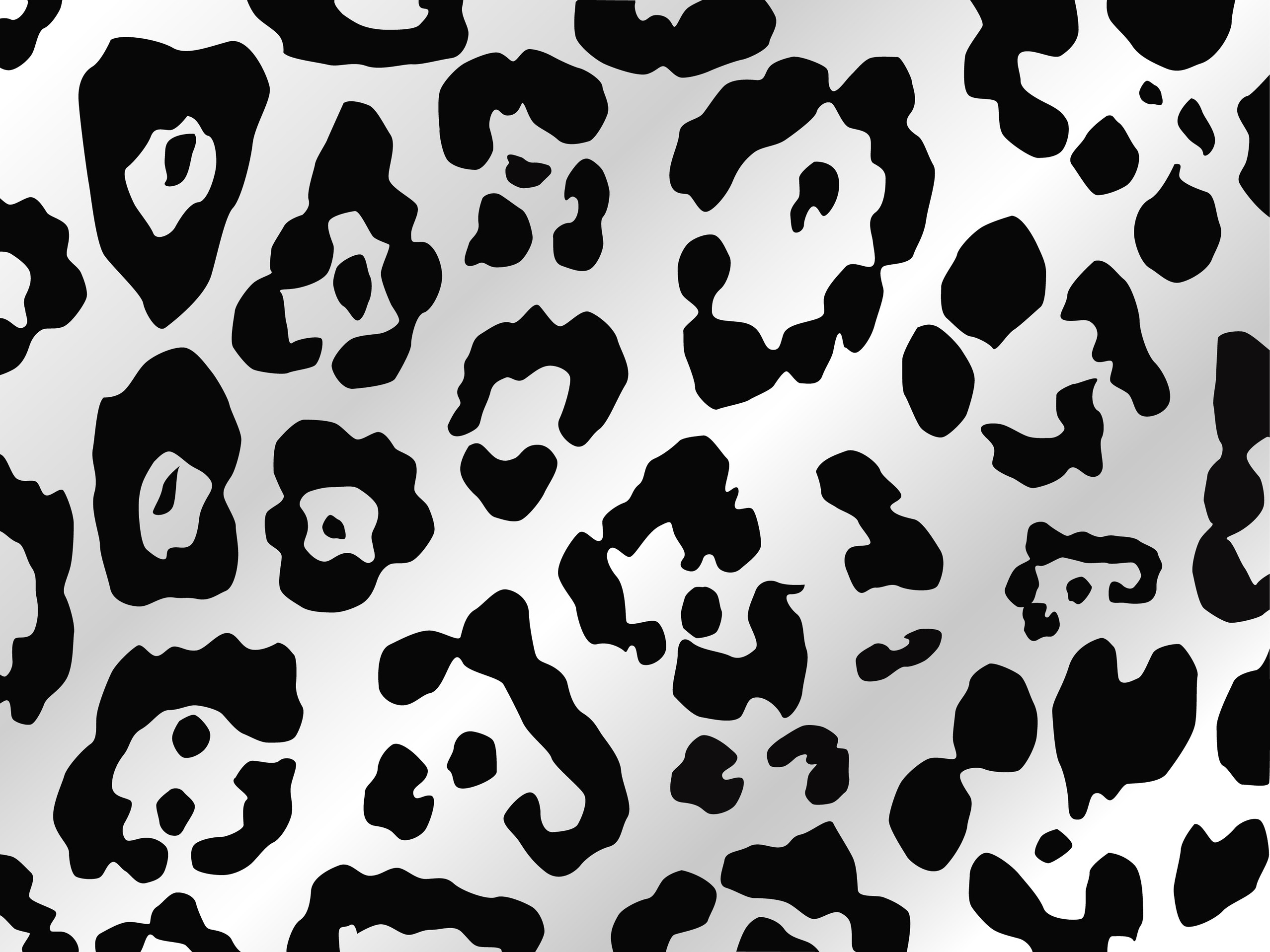 Black And White Cheetah Wallpapers