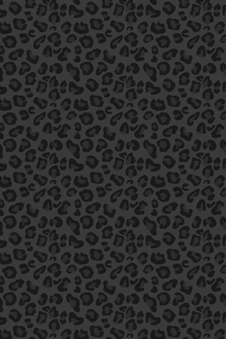 Black And White Cheetah Wallpapers