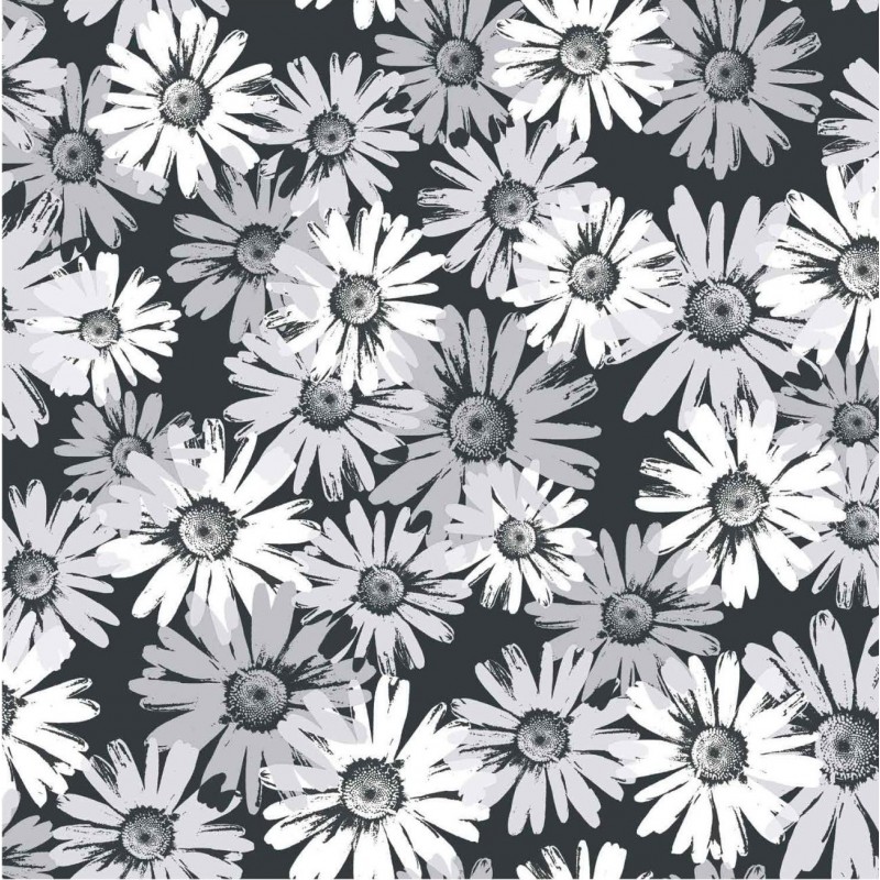 Black And White Daisy Wallpapers