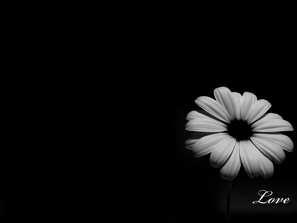 Black And White Desktop Wallpapers