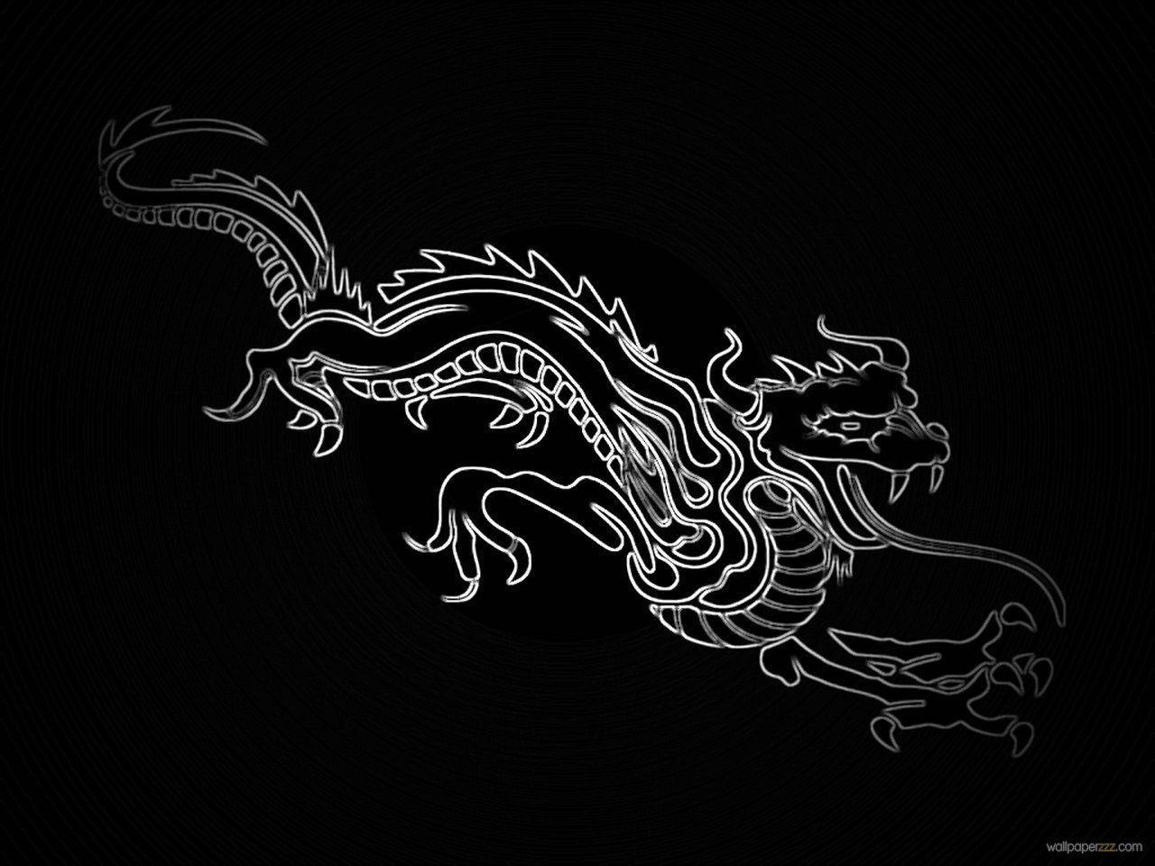 Black And White Dragon Wallpapers