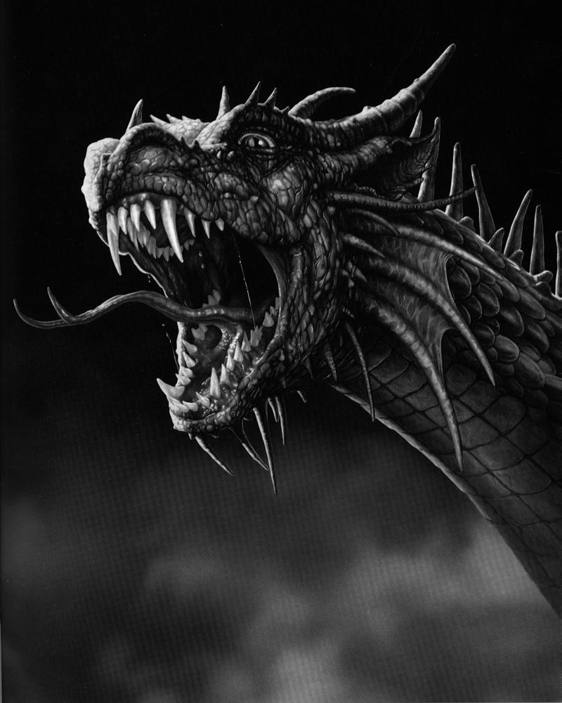 Black And White Dragon Wallpapers