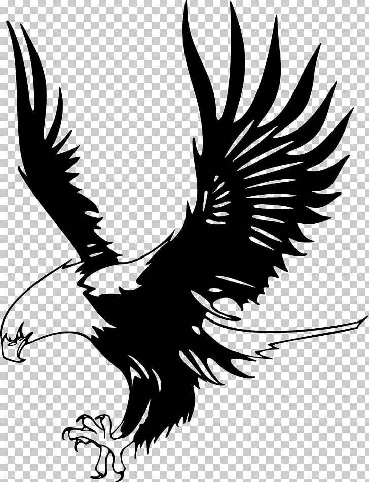 Black And White Eagle Pictures Wallpapers