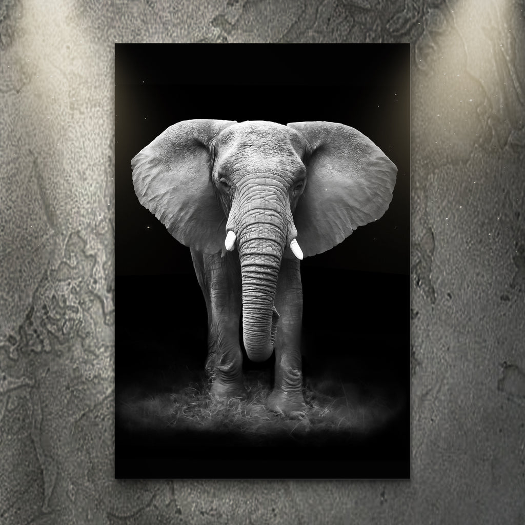 Black And White Elephant Wallpapers