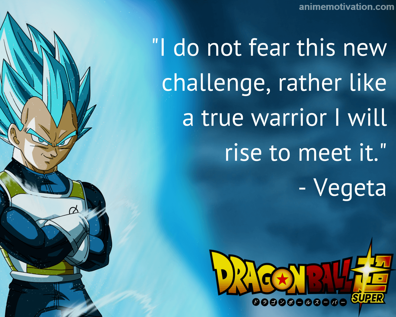 Black And White Inspirational Vegeta Wallpapers