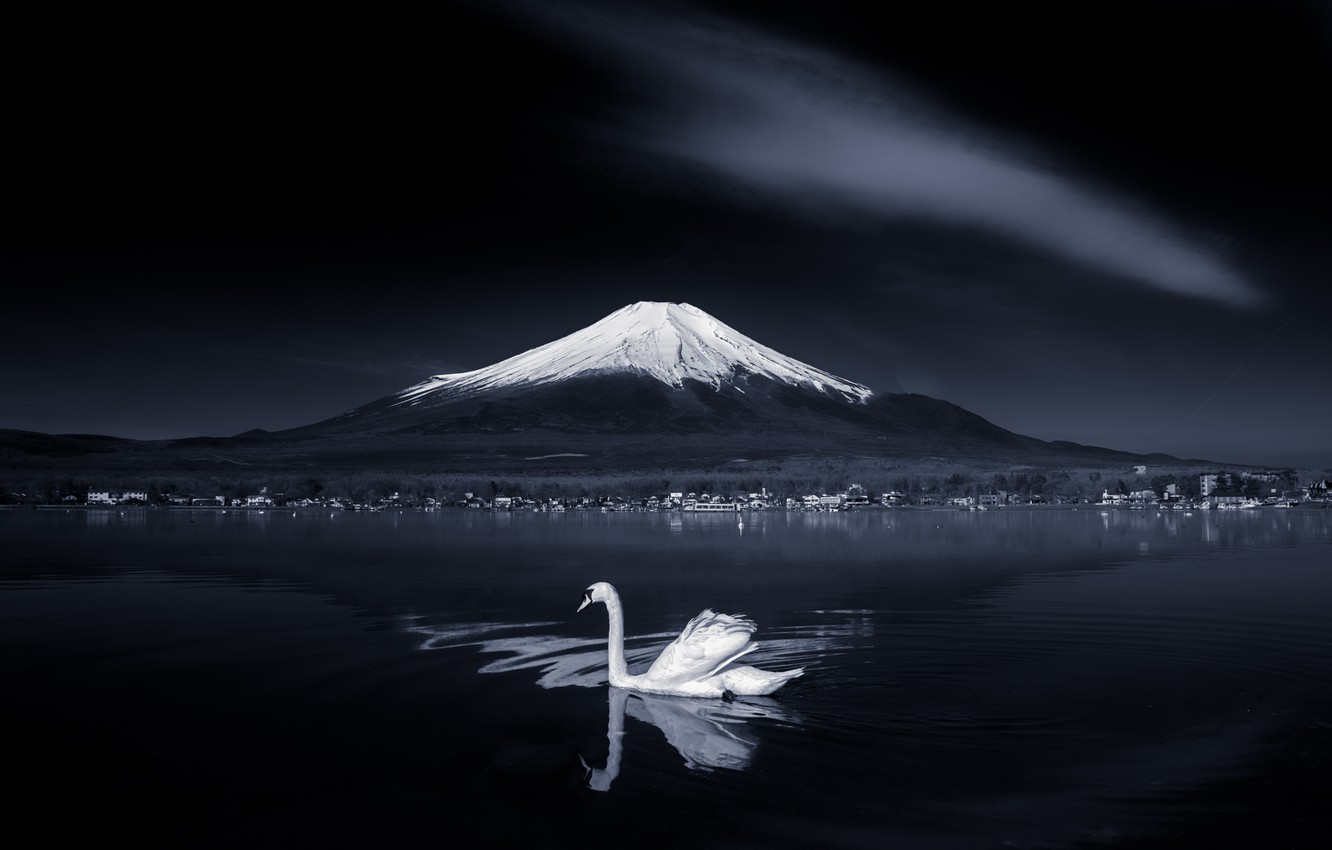 Black And White Japanese Wallpapers