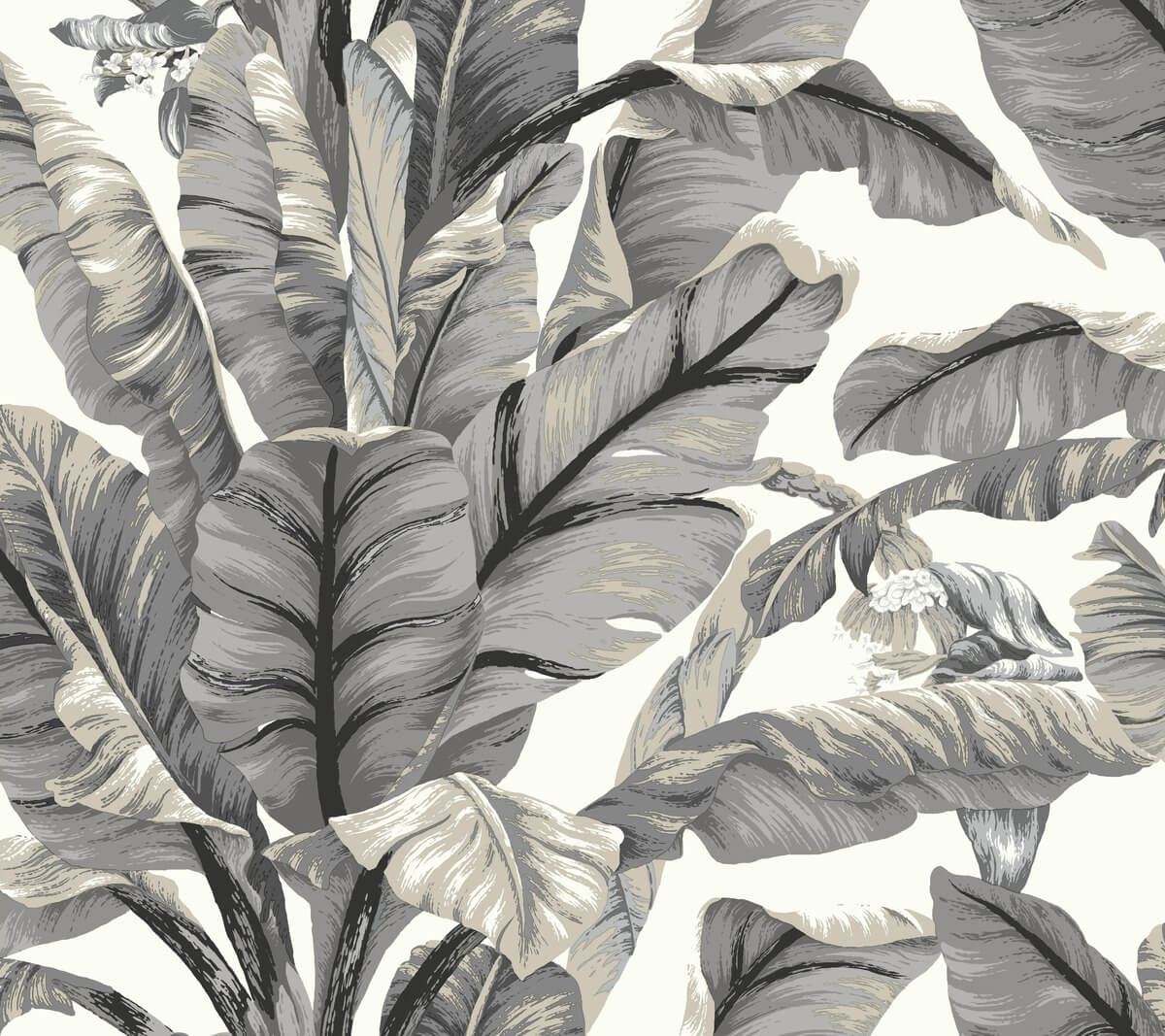 Black And White Leaf Wallpapers