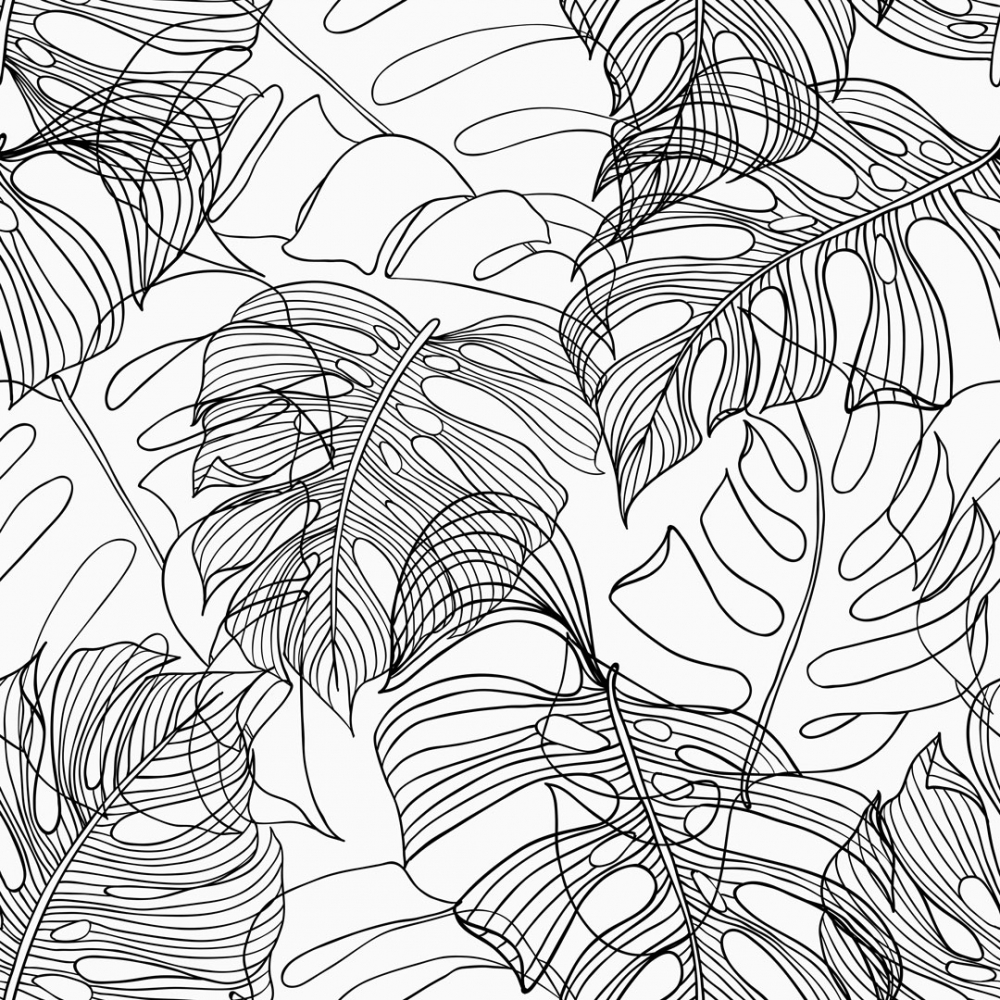 Black And White Leaf Wallpapers