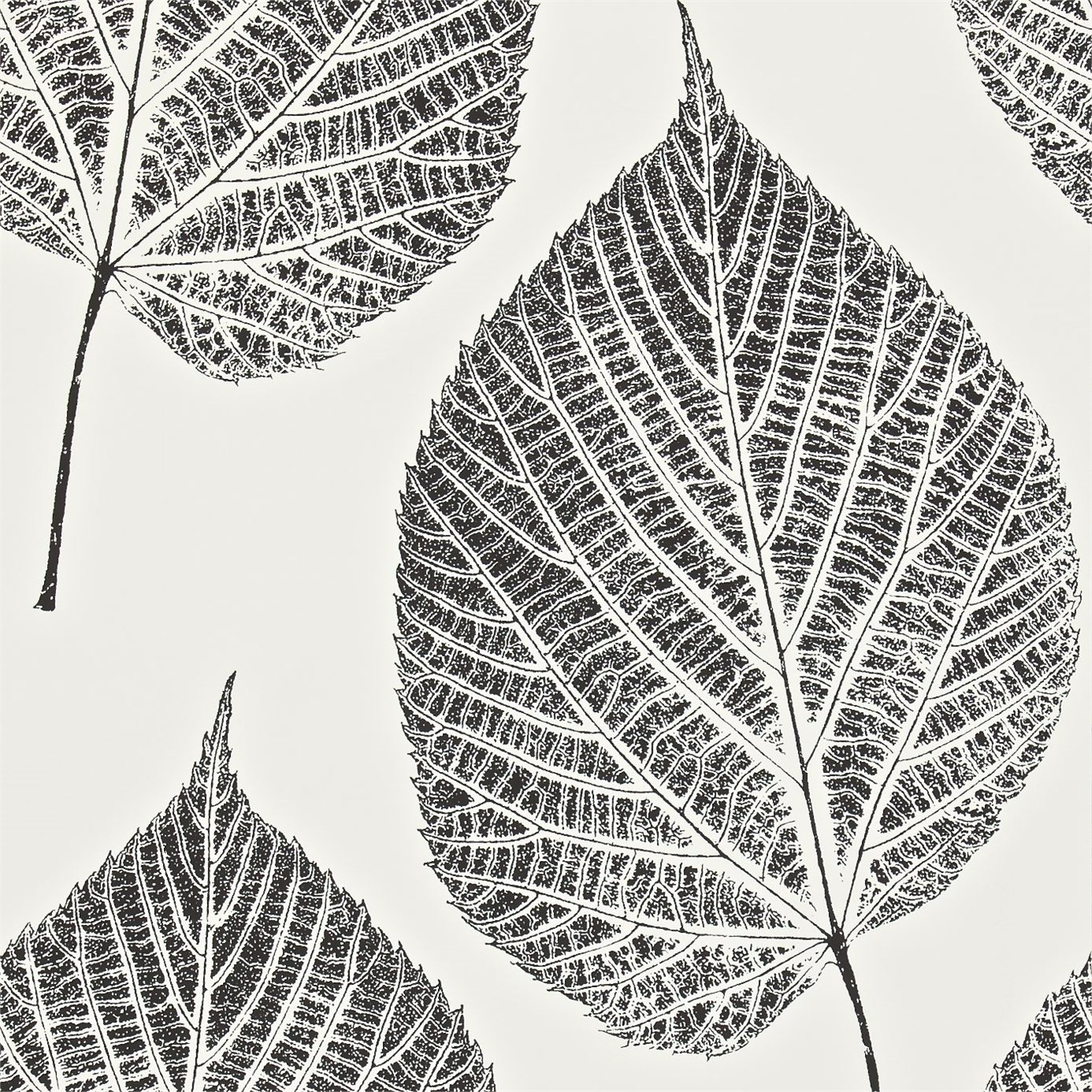 Black And White Leaf Wallpapers