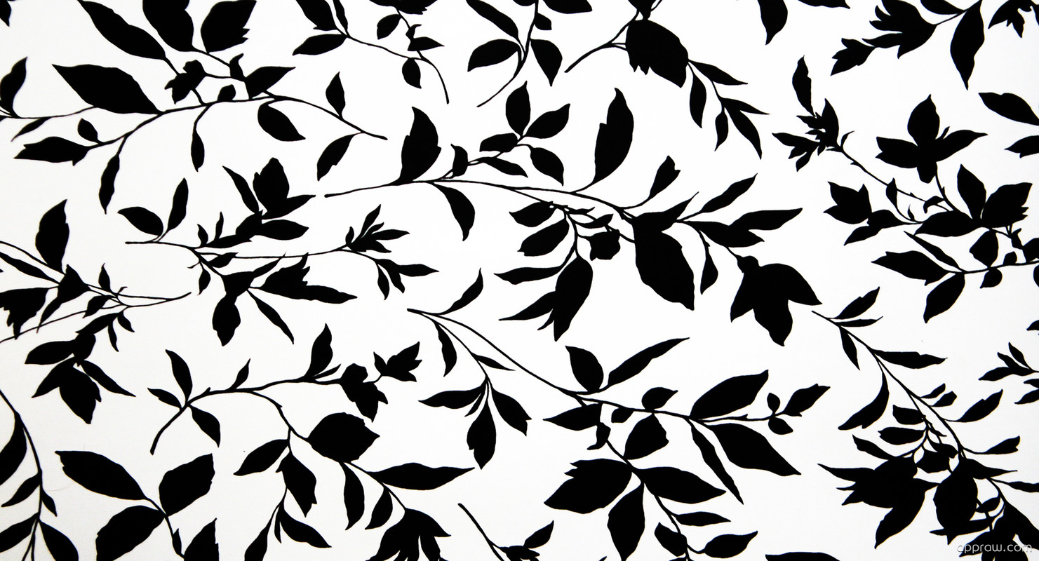 Black And White Leaf Wallpapers