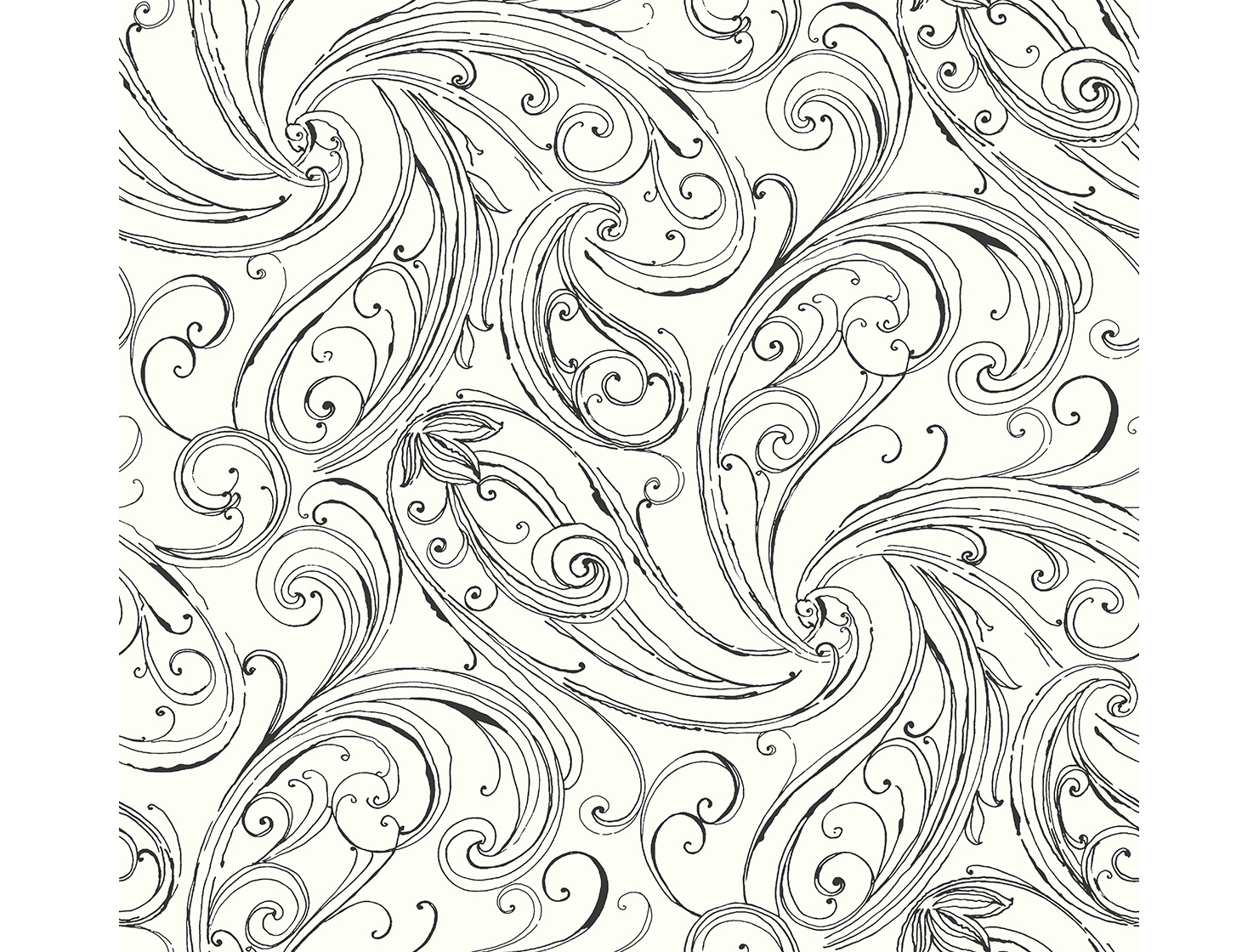 Black And White Paisley Wallpapers