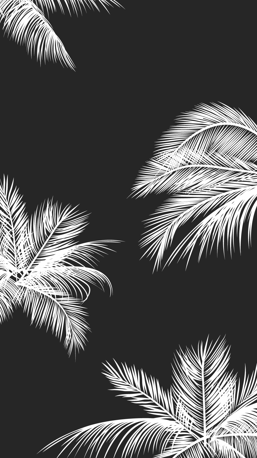 Black And White Palm Trees Wallpapers