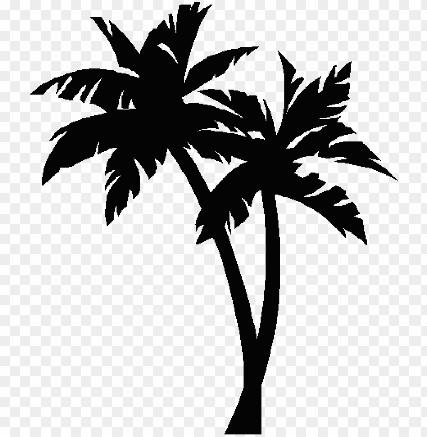 Black And White Palm Trees Wallpapers