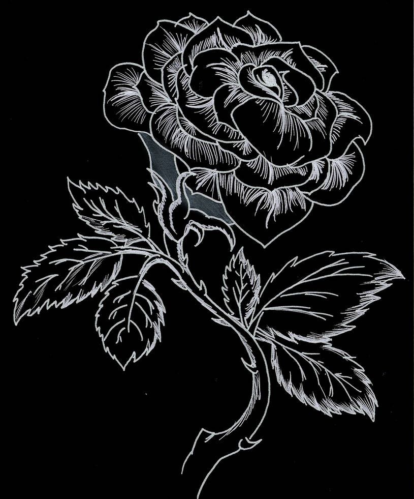 Black And White Rose Drawing Wallpapers